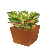 18481 - casa planter - with plants - 346x346x260